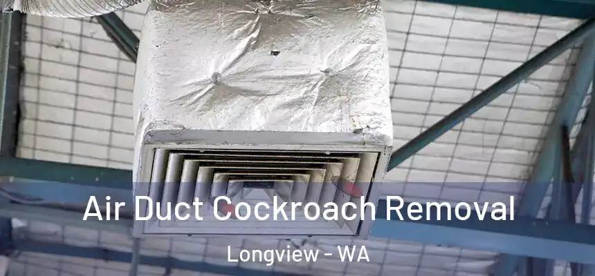  Air Duct Cockroach Removal Longview - WA