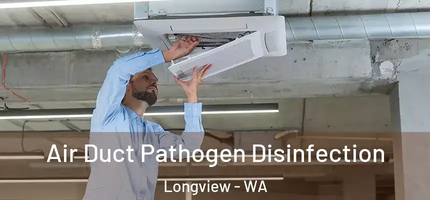  Air Duct Pathogen Disinfection Longview - WA