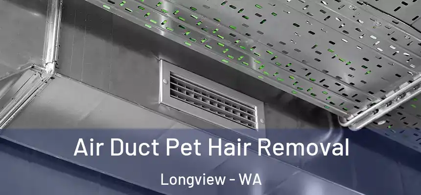  Air Duct Pet Hair Removal Longview - WA