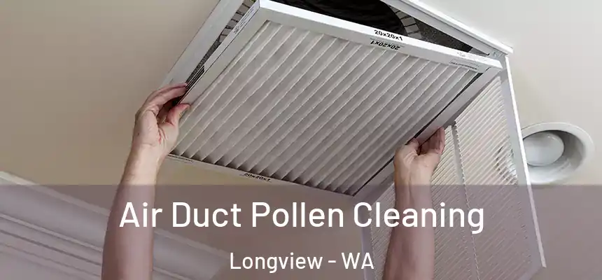 Air Duct Pollen Cleaning Longview - WA