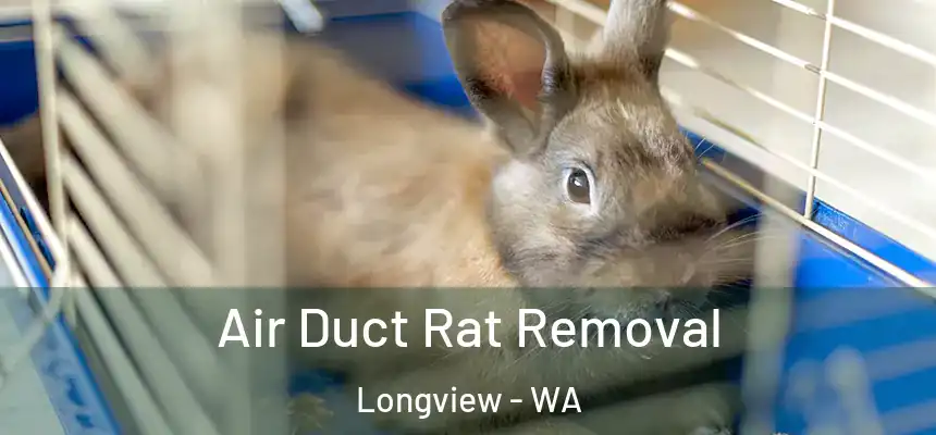  Air Duct Rat Removal Longview - WA