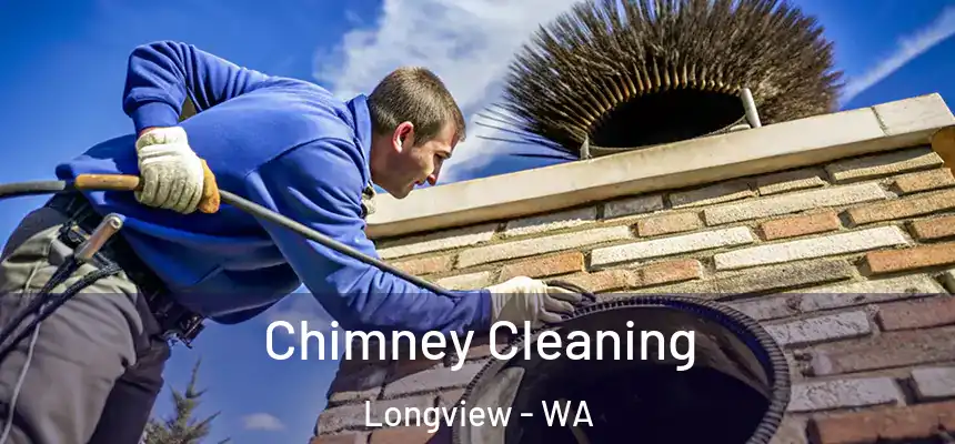  Chimney Cleaning Longview - WA