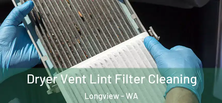 Dryer Vent Lint Filter Cleaning Longview - WA