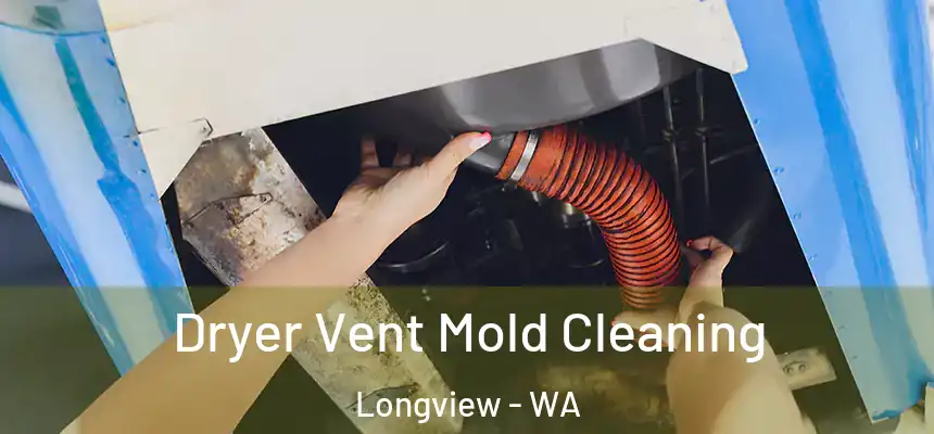  Dryer Vent Mold Cleaning Longview - WA