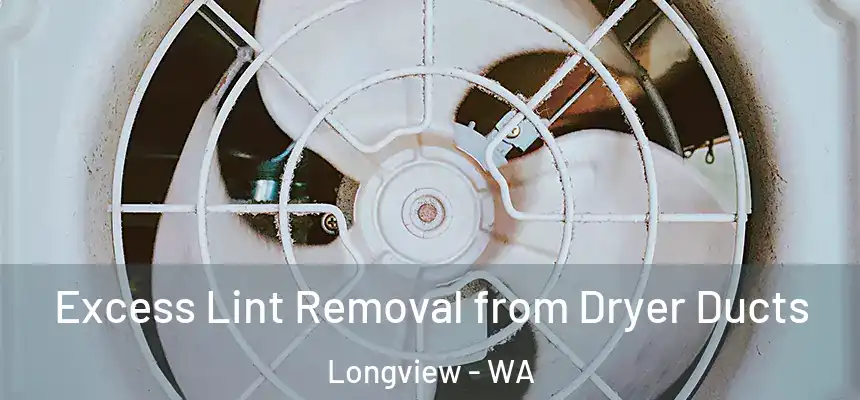 Excess Lint Removal from Dryer Ducts Longview - WA