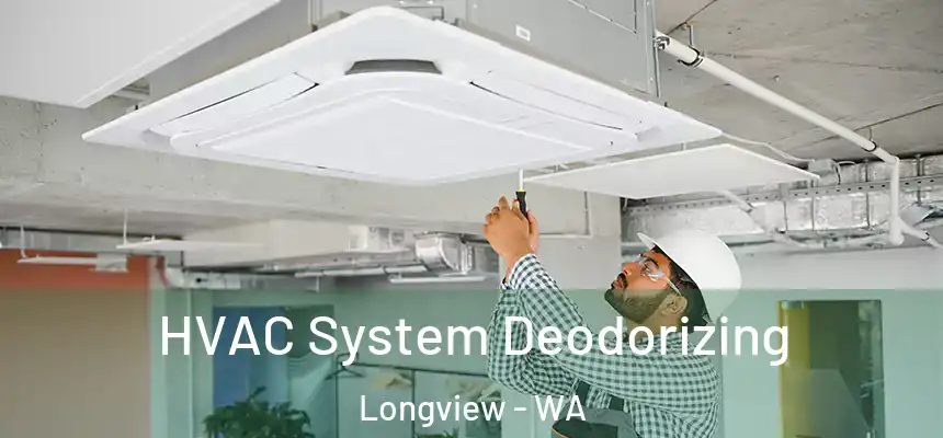  HVAC System Deodorizing Longview - WA