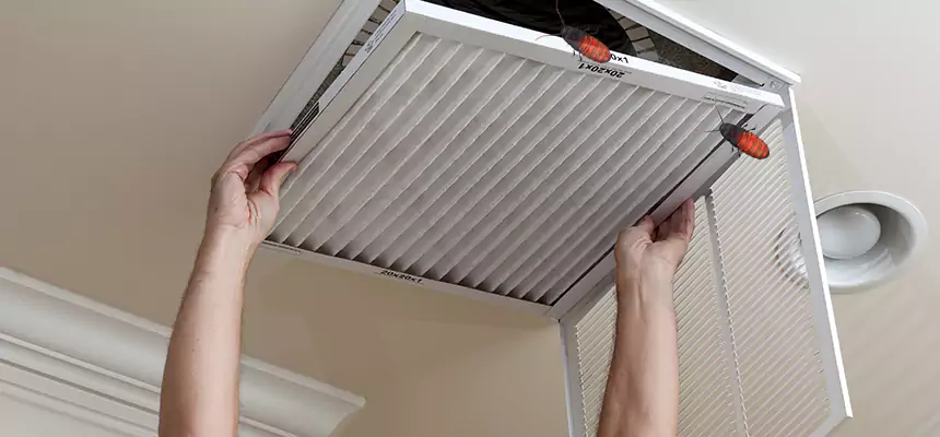 Our Insect Removal from Air Ducts Services in Longview, WA