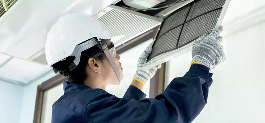 Our Mold & Mildew Removal from Air Ducts Services in Longview, WA