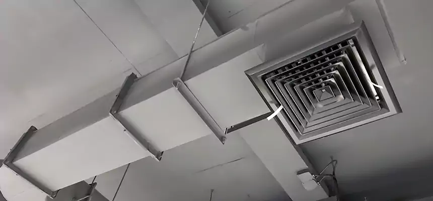 Our Pest Removal From Ducts Services in Longview, WA