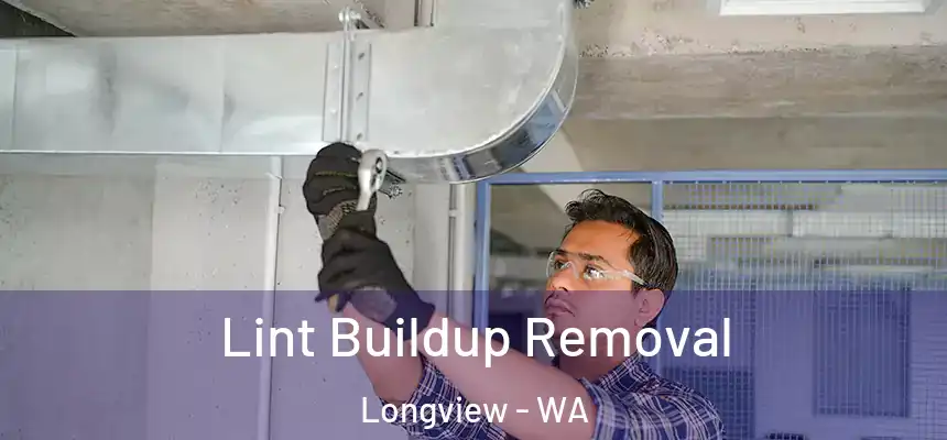  Lint Buildup Removal Longview - WA