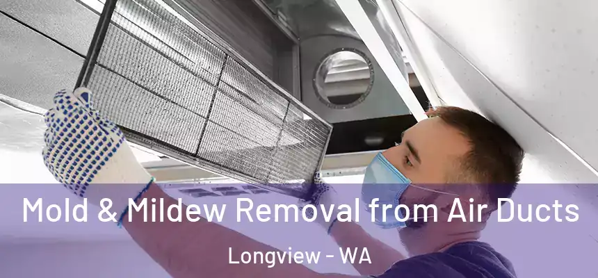  Mold & Mildew Removal from Air Ducts Longview - WA