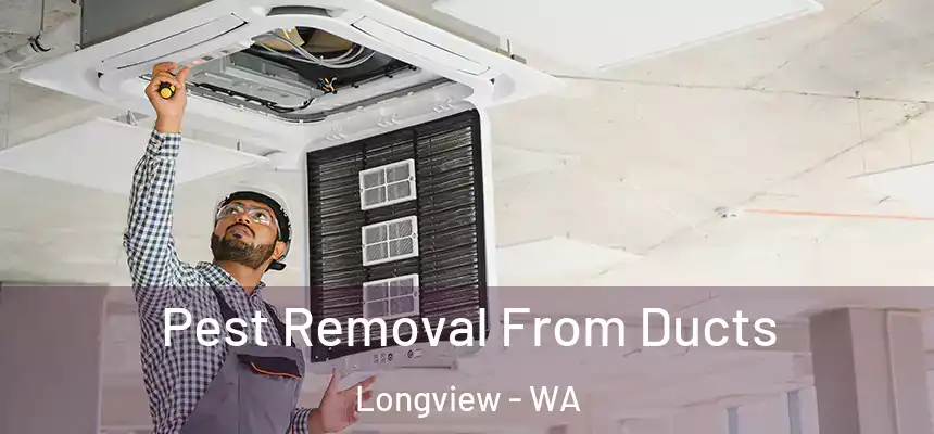 Pest Removal From Ducts Longview - WA