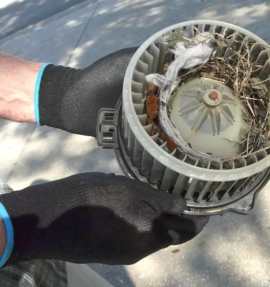 About Air Duct Rat Removal in Longview, WA