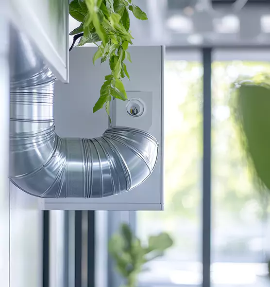 Professional Eco-Safe Dryer Vent Cleaning in Longview, WA