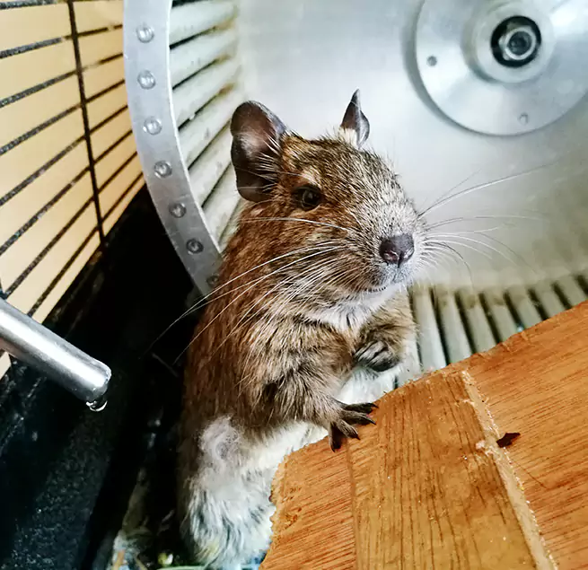 Why Homeowners & Businesses Trust Us Longview, WA