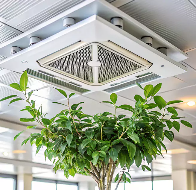 Why Homeowners & Businesses Trust Us in Longview, WA