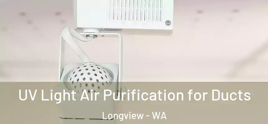  UV Light Air Purification for Ducts Longview - WA